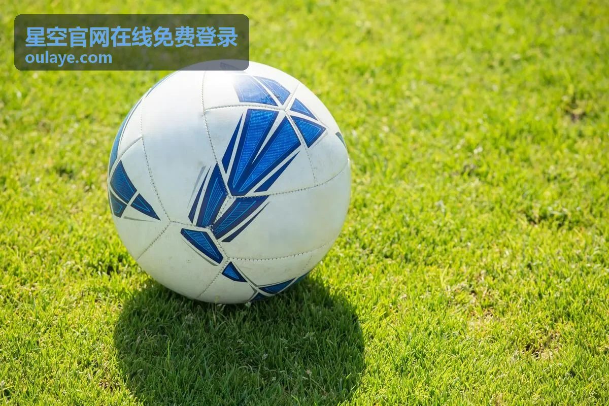 星空官网在线免费登录入口主页面全景