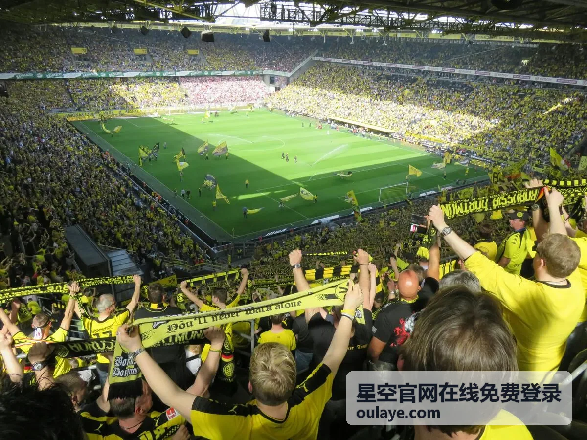 星空官网在线免费登录线路选择界面