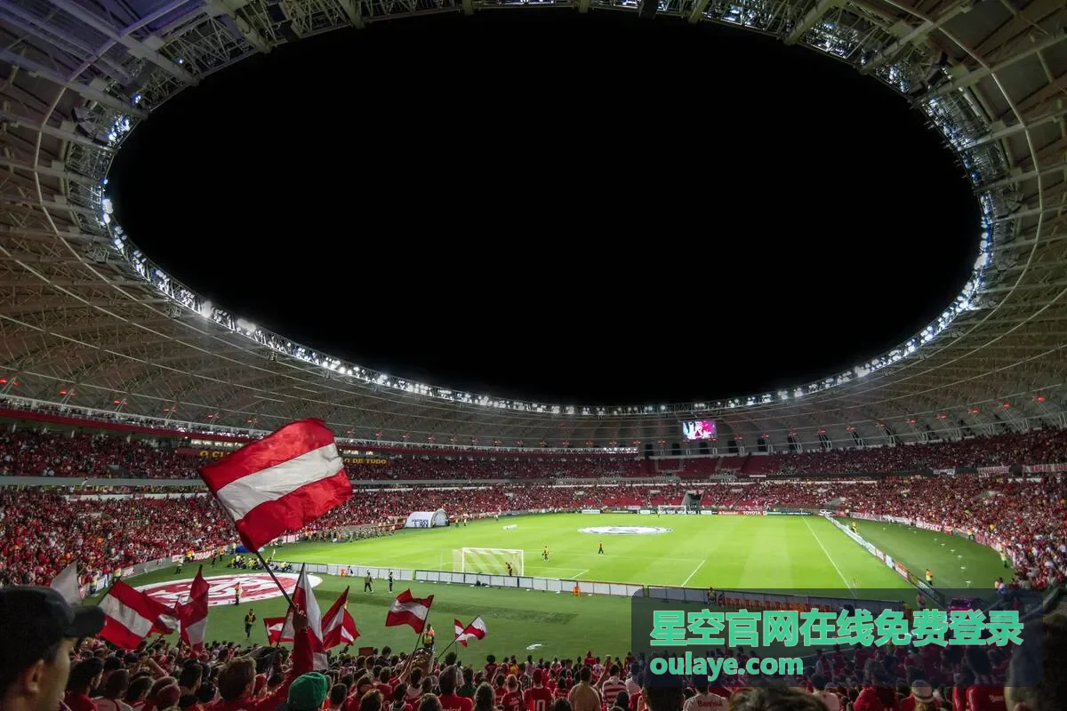 星空官网在线免费登录入口页面展示
